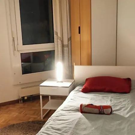 Jolie Confortable Dans Un ホームステイ ジュネーブ